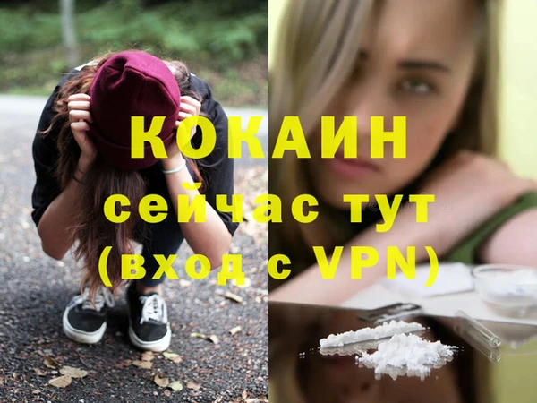 прущие крисы Белокуриха